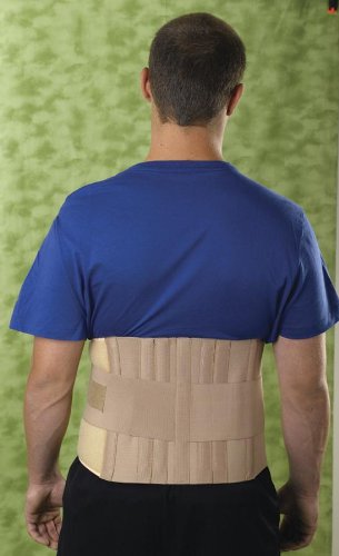 Elastic Back Support