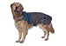 Designer Rain Jacket, Extra Large - Colors May Vary