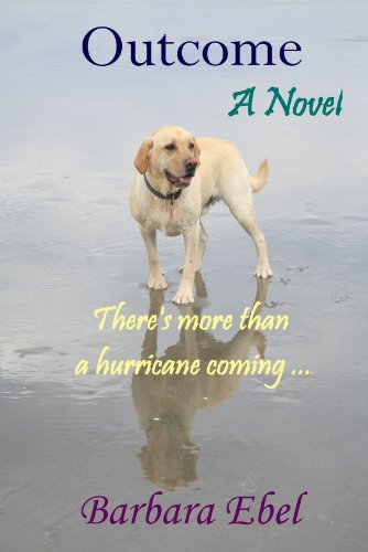 Outcome, A Novel: There's more than a hurricane coming ...