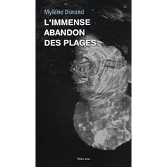 L Immense Abandon des Plages