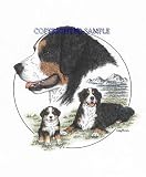 Bernese Mtn. Dog - Trio Image by Cindy Farmer