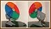Search : Vintage Color Wheel for Artificial Christmas Tree Yester Years