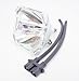 ZENITH 6912V00006A 6912V00006C Replacement Lamp for Zenith / LG TV - BULB ONLY