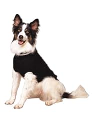 Pet Products: Fashion Pet Lookin Good Classic Cable Sweater for Dogs, Large, Black - Ethical Products/Fashion Pet