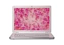 Sony VAIO VGN-CR507E/PC Limited Edition Breast Cancer Awareness 14.1" Laptop (1.86GHz Intel Pentium Dual-Core T2390 Processor, 3 GB RAM, 160 GB Hard Drive, Vista Premium)