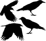 Crows Set of 4 Vinyl Decal Sticker