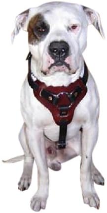 Dog Harness Premium Leather for Walking Easy Training Large, Medium and Small Dogs. Individually Hand Crafted. (2 Tone: Mahogany Chest Black Straps, M)
