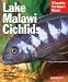 (Price/1)Lake Malawi Cichlids