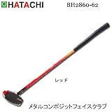 HATACHI メタルコンポジットフェイスクラブ BH2860