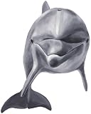 Danny the Dolphin Dry Rub Transfer Kit