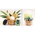 Wellnessgeschenke Set Bamboo handverpackt mit exklusiven Peelingschwamm sowie Nagelb�rste plus Massageb�rste und Bambusduftkerze