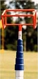 New! Search n Rescue Ball Retriever - 18 foot Two-Ball