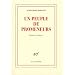 Un peuple de promeneurs : Histoires tziganes