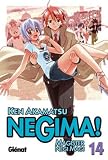 Negima Magister Negi Magi 14: Magister Negi Magi (Spanish Edition)