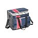 Arctic Zone 40 Can Soft Sided Cooler