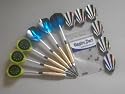 6 DARTPFEILE mit STAHLSPITZEN, 10 Gummiringe und 6 Metallic-2D-Flights