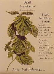 Basil Napoletano Seeds