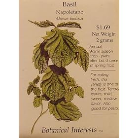 Basil Napoletano Seeds