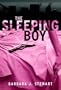 The Sleeping Boy