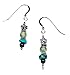 Earth Sterling Silver Earrings