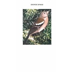 Birds of Greece