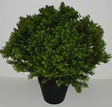 Review Silk Plants Plus  / 26
