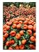 Vendors Clip Mandarin Oranges Trees as They Wait for Customers at a Shopping Mall Cuisine Photographic Poster Print, 12x16