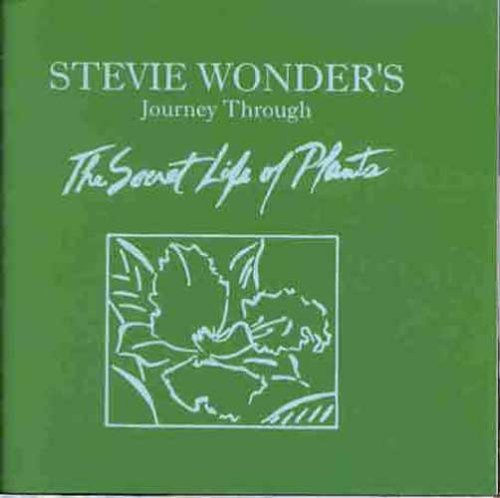 Childrens Toyshop  Music : Journey Through The Secret Life Of Plants