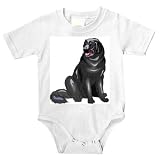 Onesie with newfoundland, dog, canine