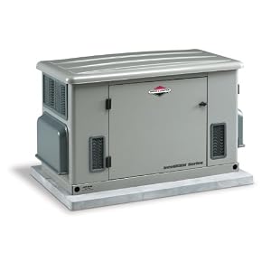 Briggs & Stratton 40303