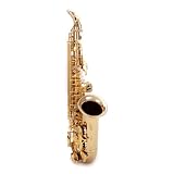 Jean E. SD900AS Pro Alto Sax With Case  Music Stand