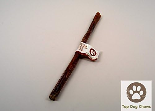 Healthy Dog Chews 12" Bully Sticks - Package of 25 - With Label