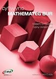 Cyflwyno mathemateg bur