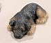 German Shepherd - Snoozer Sandicast (Scratch)