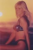 BAYWATCH GENA LEE NOLIN SEQUINED BIKINI 4X6 PHOTO