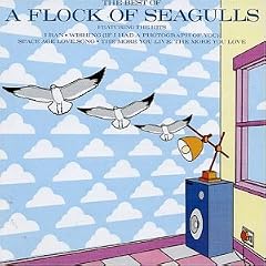 The Best of A Flock of Seagulls