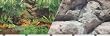 Rain Fresh Background Double Sided Size: 19 x 50