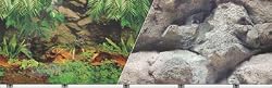 Rain Fresh Background Double Sided Size: 19 x 50
