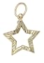 14k Yellow Gold Diamond-cut Star Charm