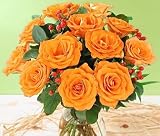 One Dozen Long Stemmed Fancy Summer Roses