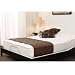 ShipShape Adjustable Base Size: Twin XL