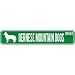 New  Bernese Mountain Dogs Drive  Street Sign Dog