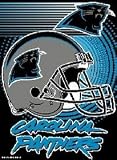 Carolina Panthers 11x15 Garden Flag (Without Flag Stand)