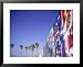 Graffiti on Wall and Palm Trees, Venice Beach, Los Angeles, California, USA Collections Framed Art Poster Print by Neil Emmerson, 31x25