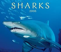 Sharks 2008