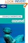 Lonely Planet Diving & Snorkeling Cozumel 4th Ed.: 4th Edition