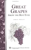 a.53 Great Grapes