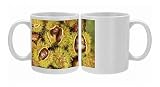 Fallen sweet chesnuts Photo Mugs