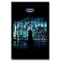 The Dark Knight (Batman Against Windows) Movie Poster Print - 24" X 36"
