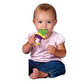 Munchkin Fresh Food Feeder 1ea